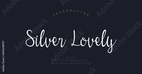 Script awesome alphabet letters font and number. unique serif font. Classic Lettering Minimal Fashion Designs. Typography fonts regular uppercase and lowercase. vector illustration
