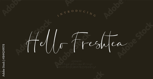 Script typography beauty fashion elegant minimalist serif italic fonts decorative wedding vintage retro logos. Minimal luxury font alphabet logo. Vector illustration
