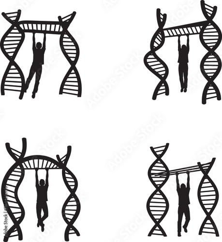 Dna replication and recombination process illustrations