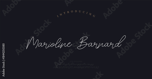 Script alphabet beauty logo font. Classic beautiful Modern luxury Serif Letter Minimal Fashion. Typography decoration logotype fonts, wedding, logos. vector illustration 
