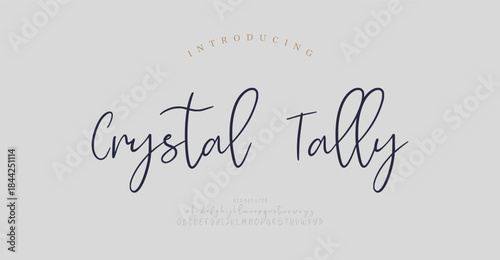 Script alphabet letters font with tails. Typography elegant classic lettering serif fonts and number decorative vintage retro concept for logo branding. vector illustration