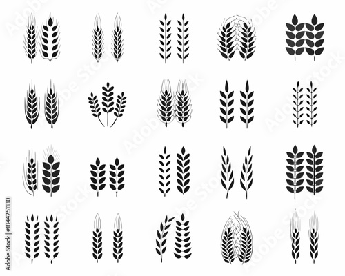 Collection of wheat stalks and grain heads in black and white illustration