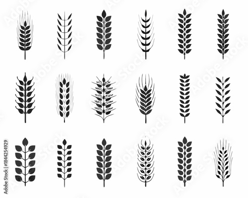 Collection of various wheat stalks and grain heads in monochrome style