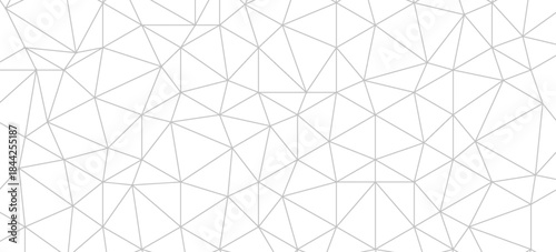 Abstract gray line triangle polygon on white background vector illustration.