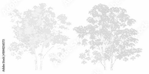 Silhouetted trees against a white background displaying natural forms and textures