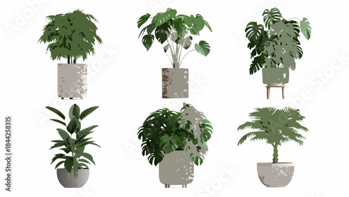 A collection of various potted indoor plants displayed in a minimalist style