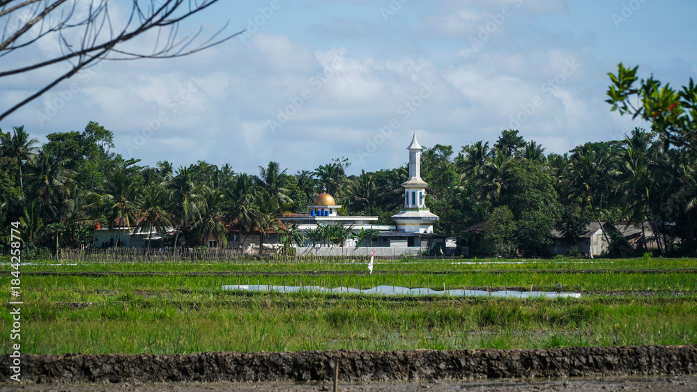 Fototapeta premium Rural Landscape with Mosque Minaret and Green Rice Paddy Field Under Blue Sky