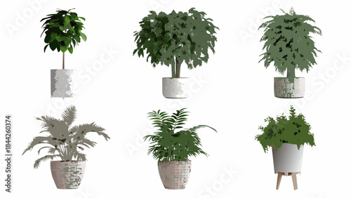 A collection of various potted indoor plants isolated on a white background