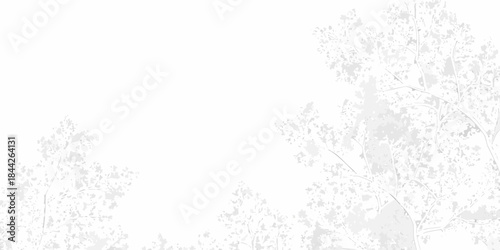 Bare tree branches against a bright almost white winter sky