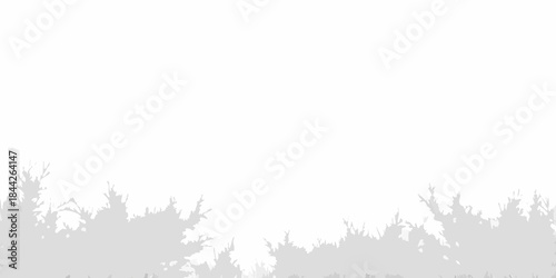 Silhouette of evergreen trees against a bright almost white background