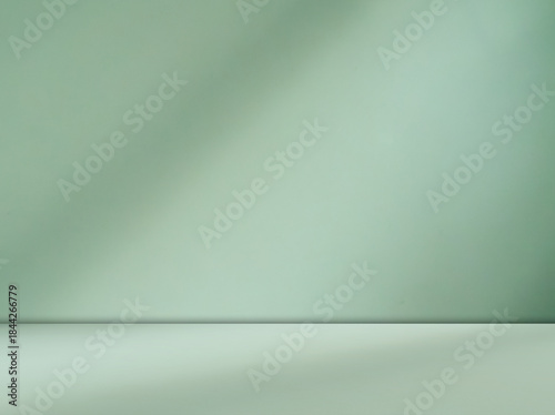 Green background light shadow leaves abstract nature on blur wall cement podium loft product, studio room floor organic minimal wallpaper backdrop summer tropical platform sale interior empty scene