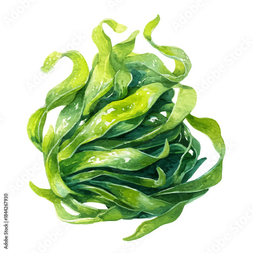 Seaweed Salad in watercolor painting style, vector illustration on white background.