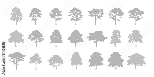 A collection of diverse tree silhouettes arranged in a grid pattern