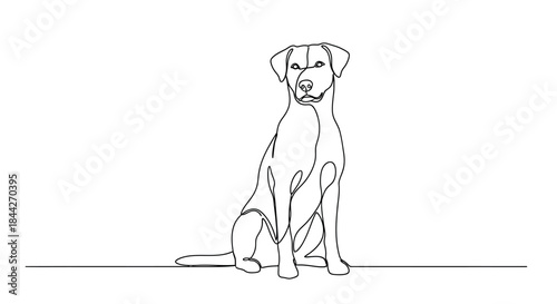 Continuous line drawing of a sitting dog