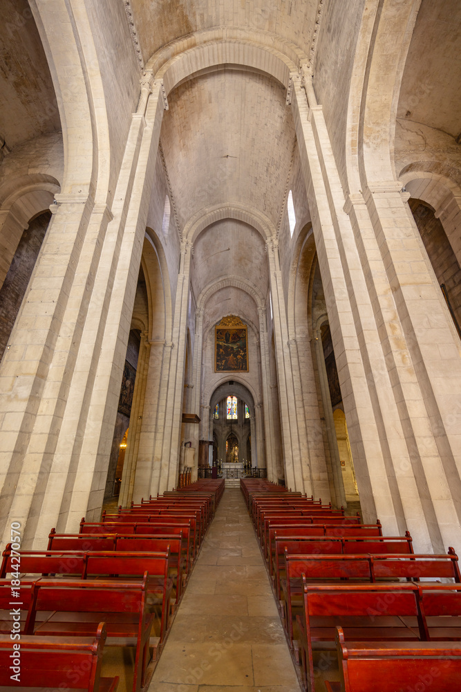 Naklejka premium Saint Trophime Church Nave, Arles, Provence, France