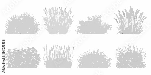 Collection of grayscale illustrations depicting various types of grasses and shrubs