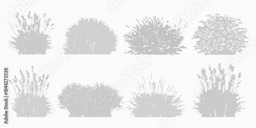 Collection of various gray shrub and ornamental grass silhouettes on white