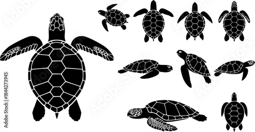 Turtle silhouette, Sea turtle silhouettes, Turtle, Turtle icon set, Turtle clipart, Underwater animal set