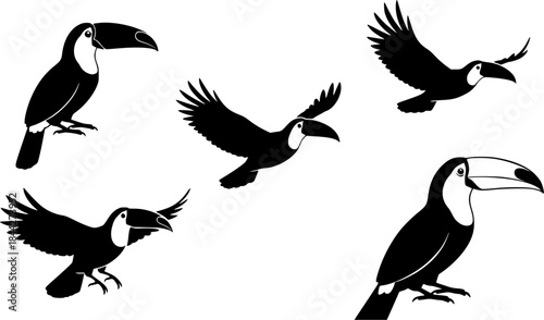 Toucan silhouettes, Toucan bird silhouette, Flying toucan silhouette, Toucan, Toucan toco clipart set