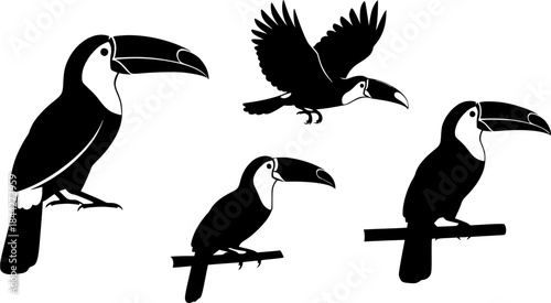 Toucan silhouettes, Toucan bird silhouette, Flying toucan silhouette, Toucan, Toucan toco clipart set