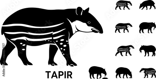 Tapir silhouettes, Malayan tapir silhouette, Tapir vector set, Tapir, Tapir animal bundle set