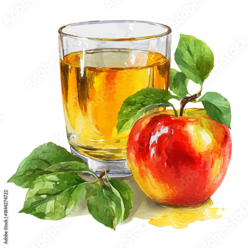 A watercolor painting of Apple Cider, vector illustration on white background.