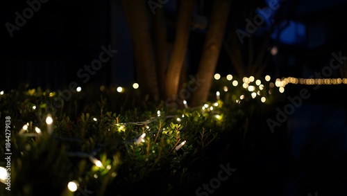 Schilderij op canvas A softly lit garden path illuminated by delicate string lights at night