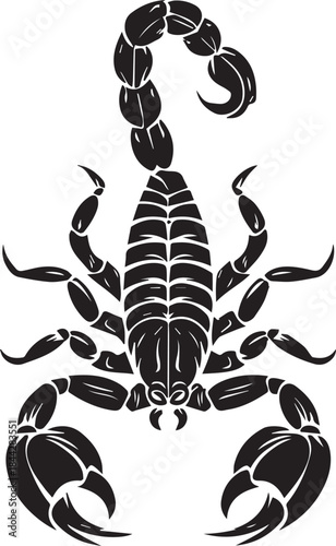Black Scorpion Tribal Silhouette Vector Illustration Isolated on White Background