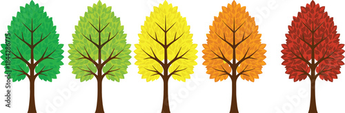 Vector illustration of trees transitioning through seasons with green