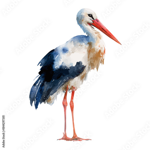 A watercolor painting of Stork, vector illustration on white background.