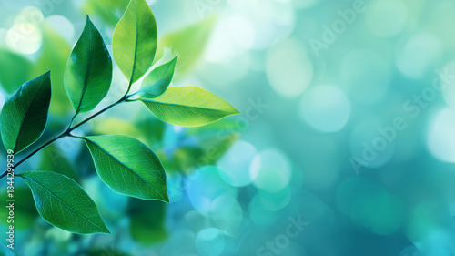 A vibrant green leaves create a stunning display against a tranquil blurred backdrop