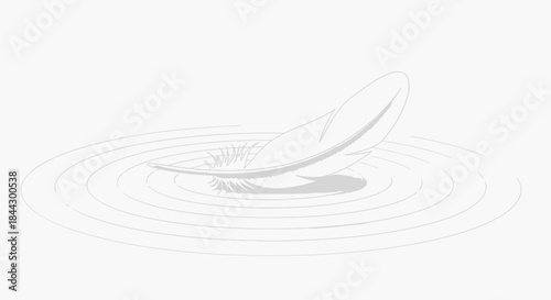 Subtle feather and water ripples illustration expressing gentleness and purity feeling
