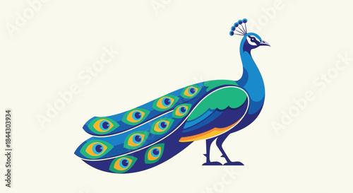 Elegant peacock with vibrant plumage illustration on a plain background design concept