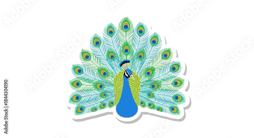 Stylized vector illustration of a peacock with vibrant plumage and ornamental tail feathers