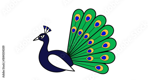 Stylized peacock illustration presenting vibrant plumage against a pristine white background
