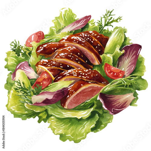 A watercolor painting of Peking Duck Salad, vector illustration on white background.