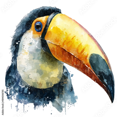 Toucan Head, watercolor illustration, vector style, isolated on a white background.