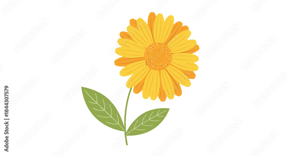 Obraz premium Simple and cheerful illustration of a single yellow calendula or sunflower with a green stem and leaves on a white background.