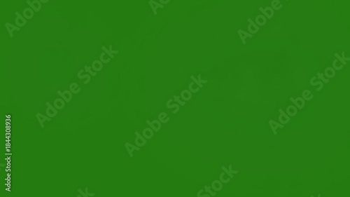 High-quality muzzle flash animation on green screen designed for weapon fire visual effects. Ideal for film, action scenes, games, trailers, and military or tactical video projects. Easily composited 