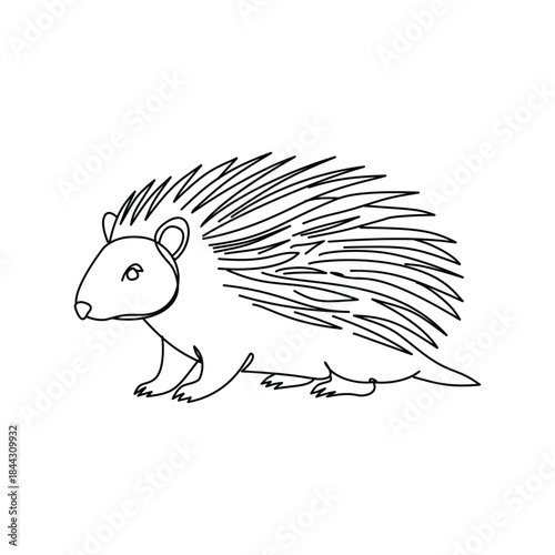 Minimalist Cute Hedgehog Line drawing. Line art. Illustration