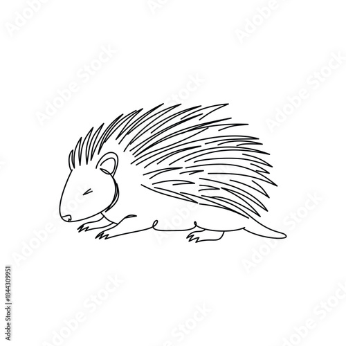 Cute sleeping Hedgehog Line drawing. Line art. Illustration
