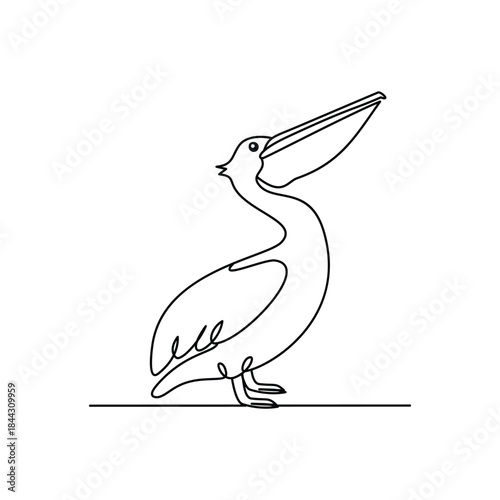 Minimalist Pelican Bird Line drawing. Line art. Illustration