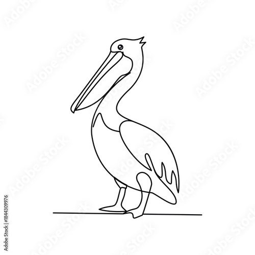 Minimalist Pelican Bird Line drawing. Line art. Illustration