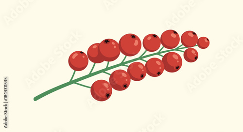 A simple and elegant illustration of a single green branch with bright red berries, like rowan or holly, on a light background.