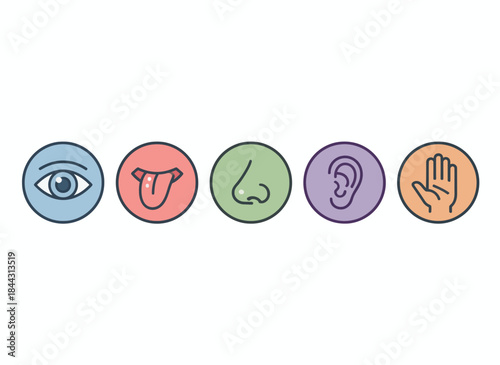 Five Senses Icons Visual Representation of Sight, Taste, Smell, Hearing, and Touch