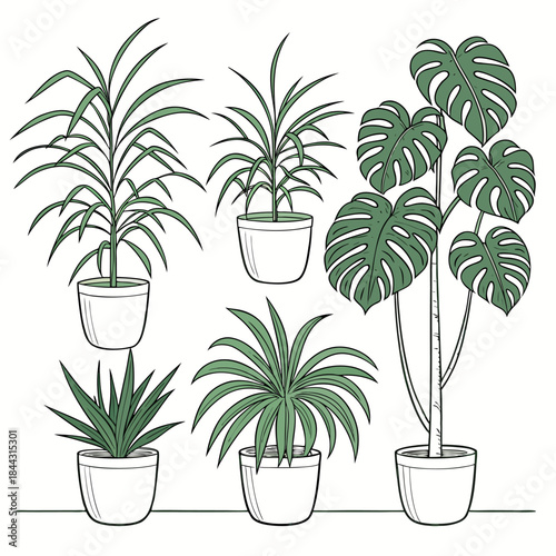Collection of potted houseplants in a simple line art style
