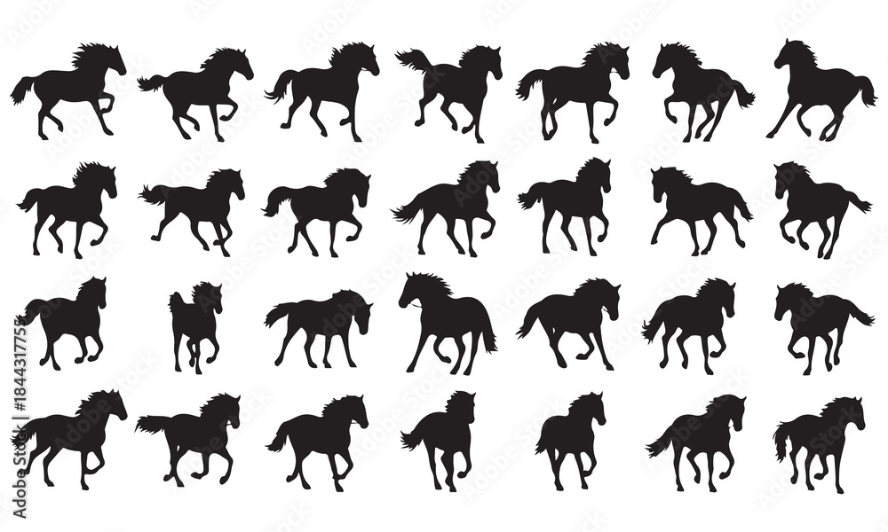 Fototapeta premium Collection of Horse Silhouettes in Various Poses