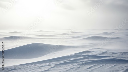 Snowy landscape with blowing snow and diffused light