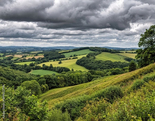 Green hills, fields, trees. Beautiful summer landscape