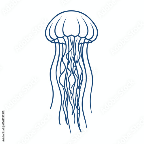 Line drawing of a blue jellyfish, stylized with detailed tentacles and bell shape